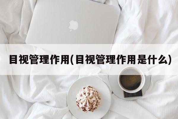 目视管理作用(目视管理作用是什么)